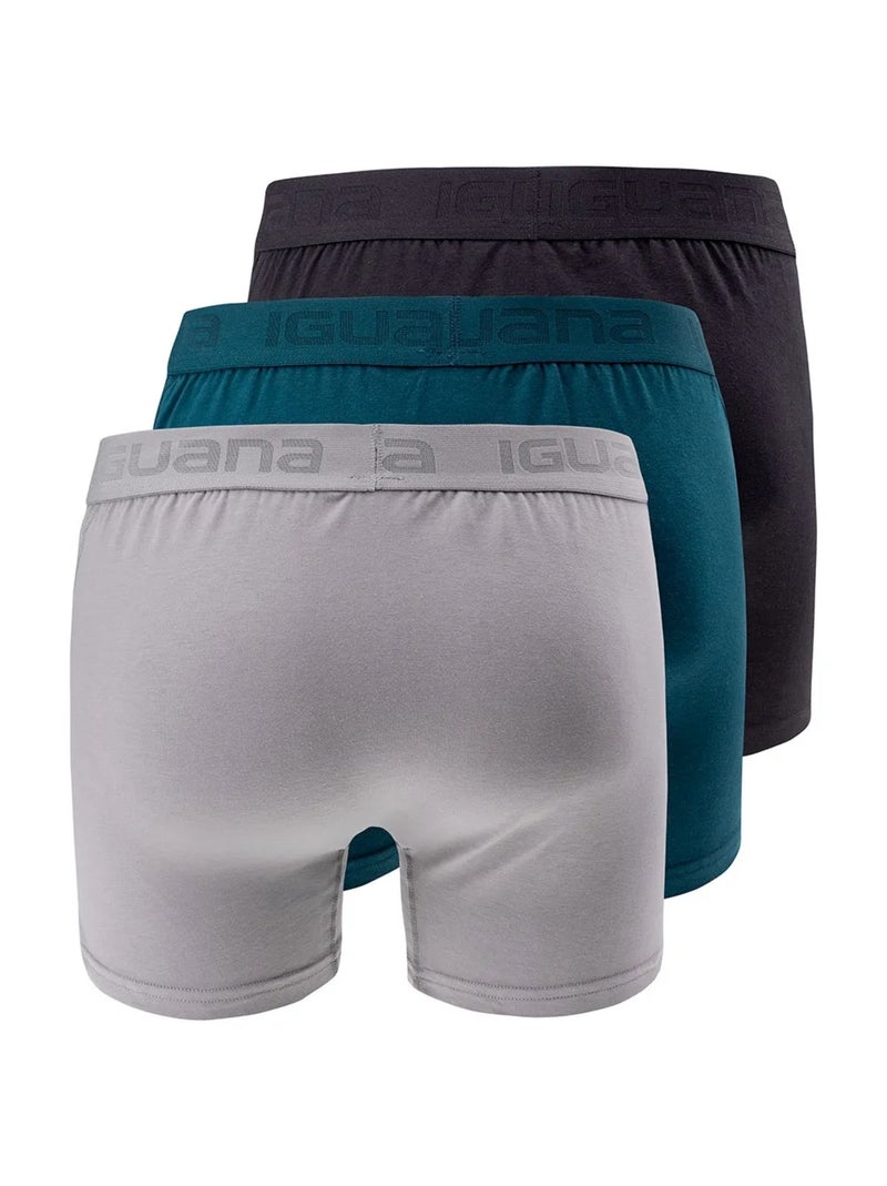 Iguana - Boxers PRESTO Gris clair - Kiabi