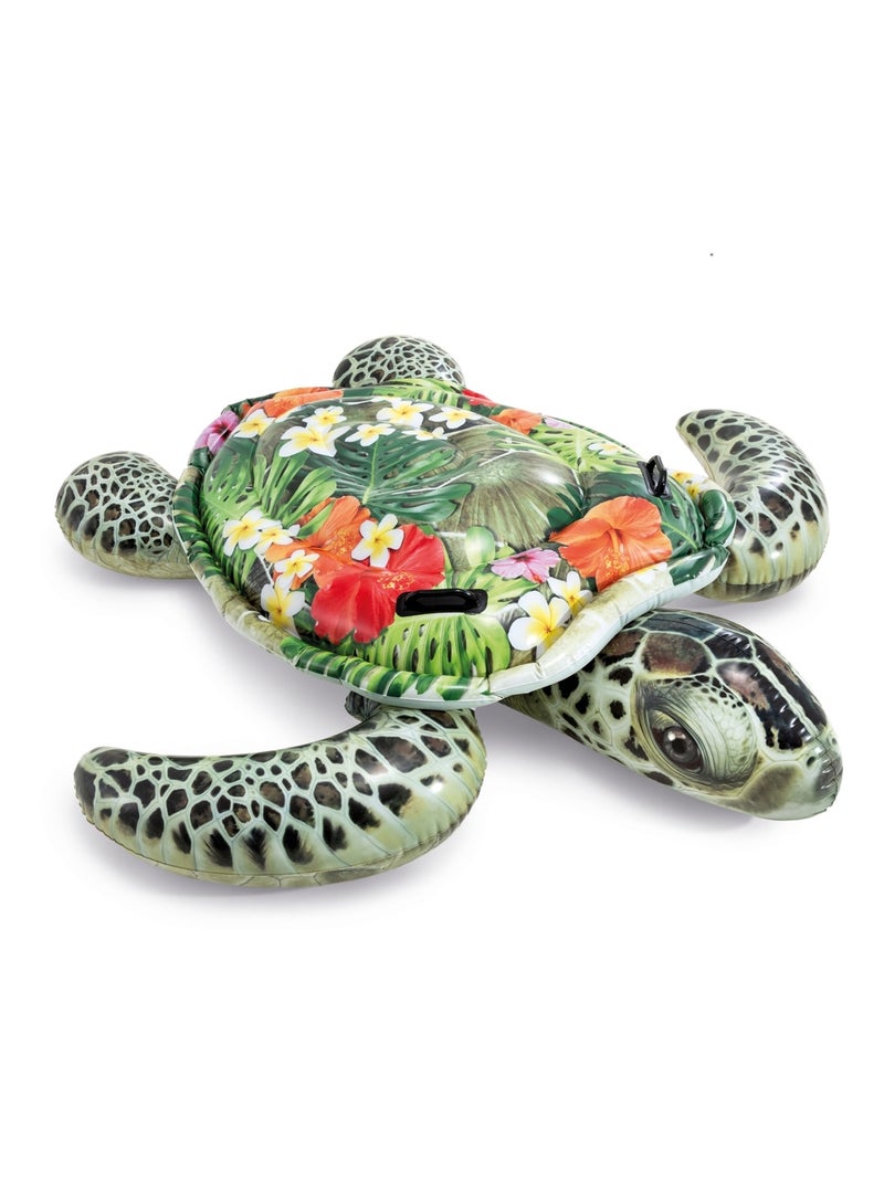 Îlot aquatique Tortue de mer Multicolore - Kiabi