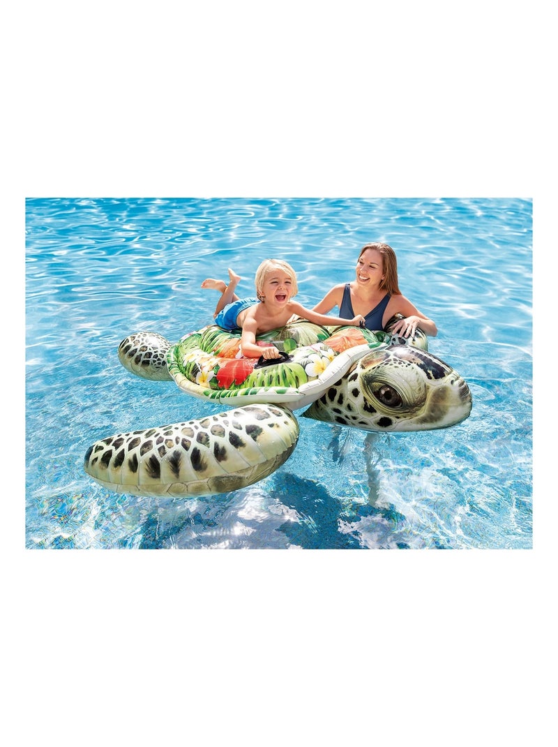 Îlot aquatique Tortue de mer Multicolore - Kiabi