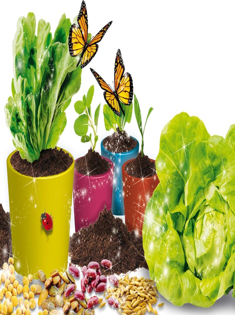 I'm A Genius Science X 4 - Lisciani N/A - Kiabi