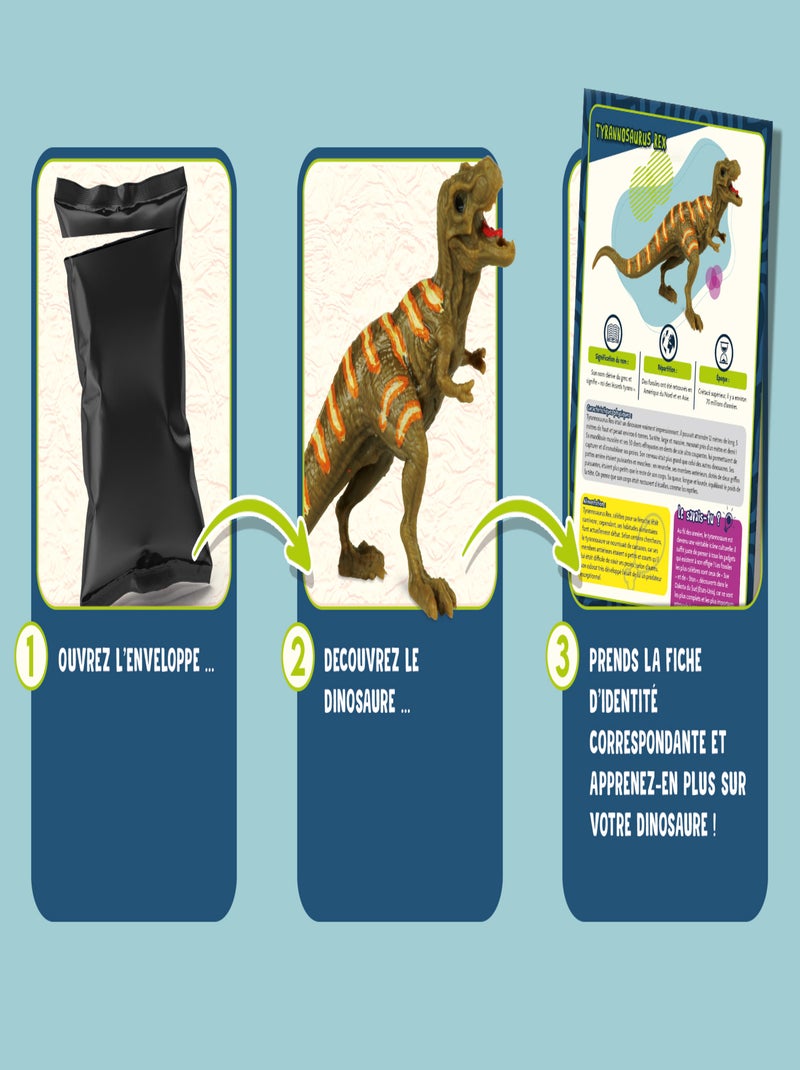 I'M A GENIUS UN MOIS AVEC LES DINOSAURES N/A - Kiabi