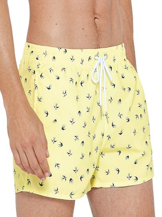 Impetus Beachwear - Maillot de bain short court Sterne