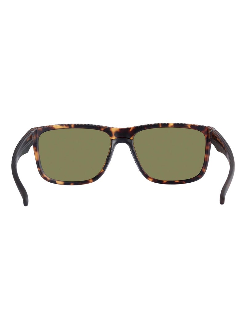 Intrusion - Lunettes de soleil BRYN Marron - Kiabi