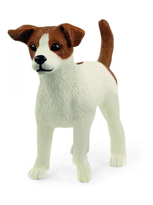 Jack Russell terrier - Kiabi
