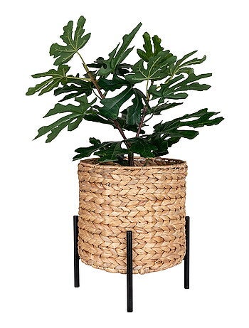 Jardinière Antas - Jardinière, jacinthe d'eau, naturel/noir, 26,5x26,5x29 cm