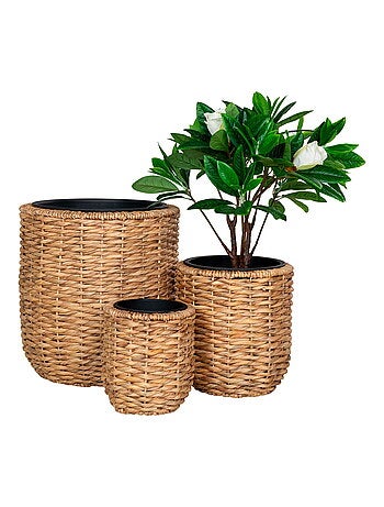 Jardinières Hanoi - Jardinières, jacinthe d'eau, lot de 3 naturel