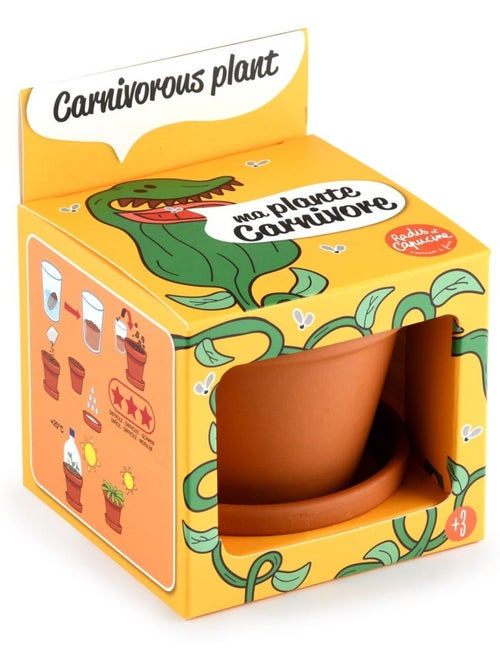 Je fais pousser ma Plante carnivore - Kiabi