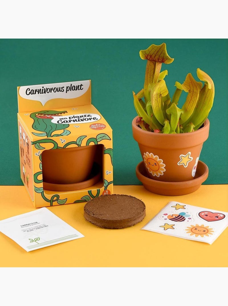 Je fais pousser ma Plante carnivore Marron - Kiabi