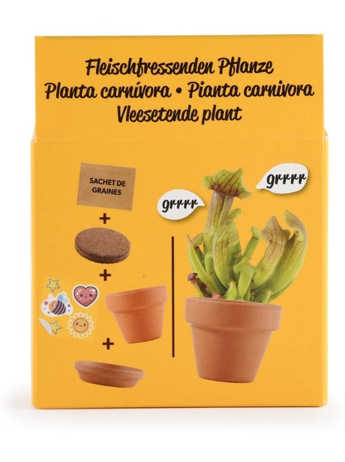 Je fais pousser ma Plante carnivore - Kiabi