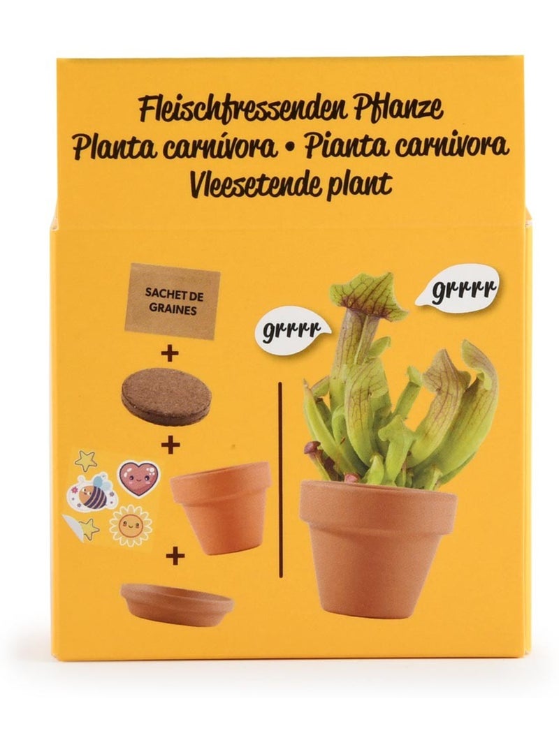Je fais pousser ma Plante carnivore Marron - Kiabi