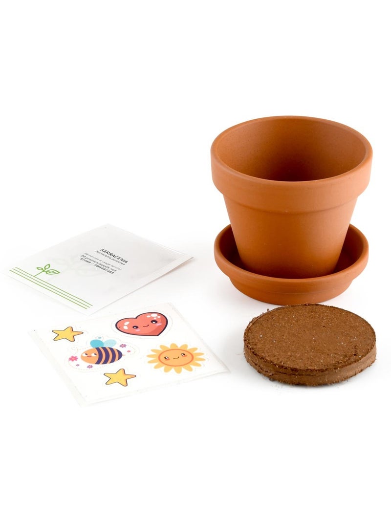 Je fais pousser ma Plante carnivore Marron - Kiabi