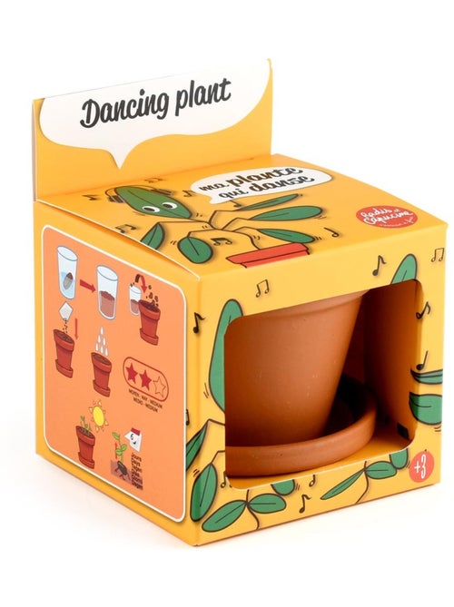 Je fais pousser ma Plante qui danse - Kiabi