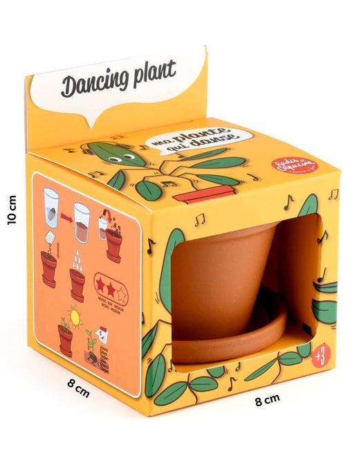 Je fais pousser ma Plante qui danse - Kiabi