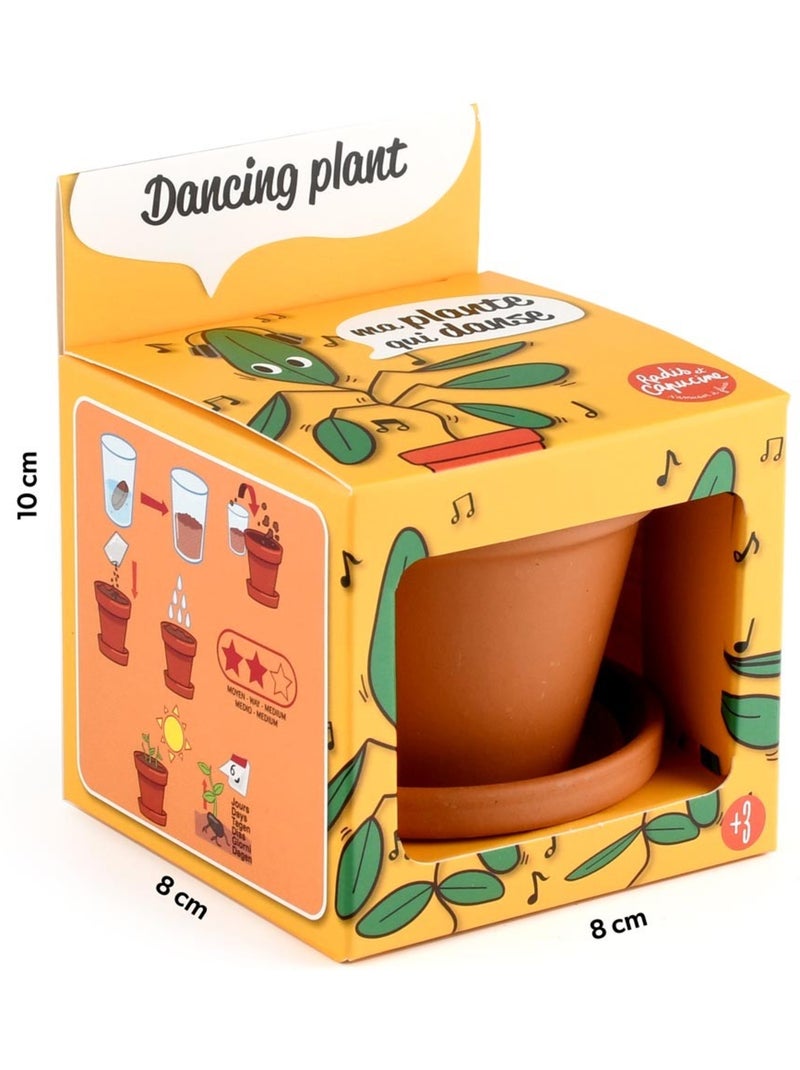 Je fais pousser ma Plante qui danse Marron - Kiabi