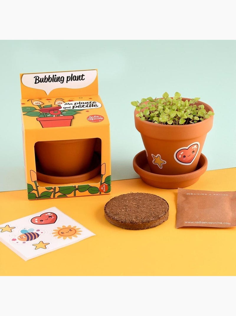 Je fais pousser ma Plante qui pétille Marron - Kiabi