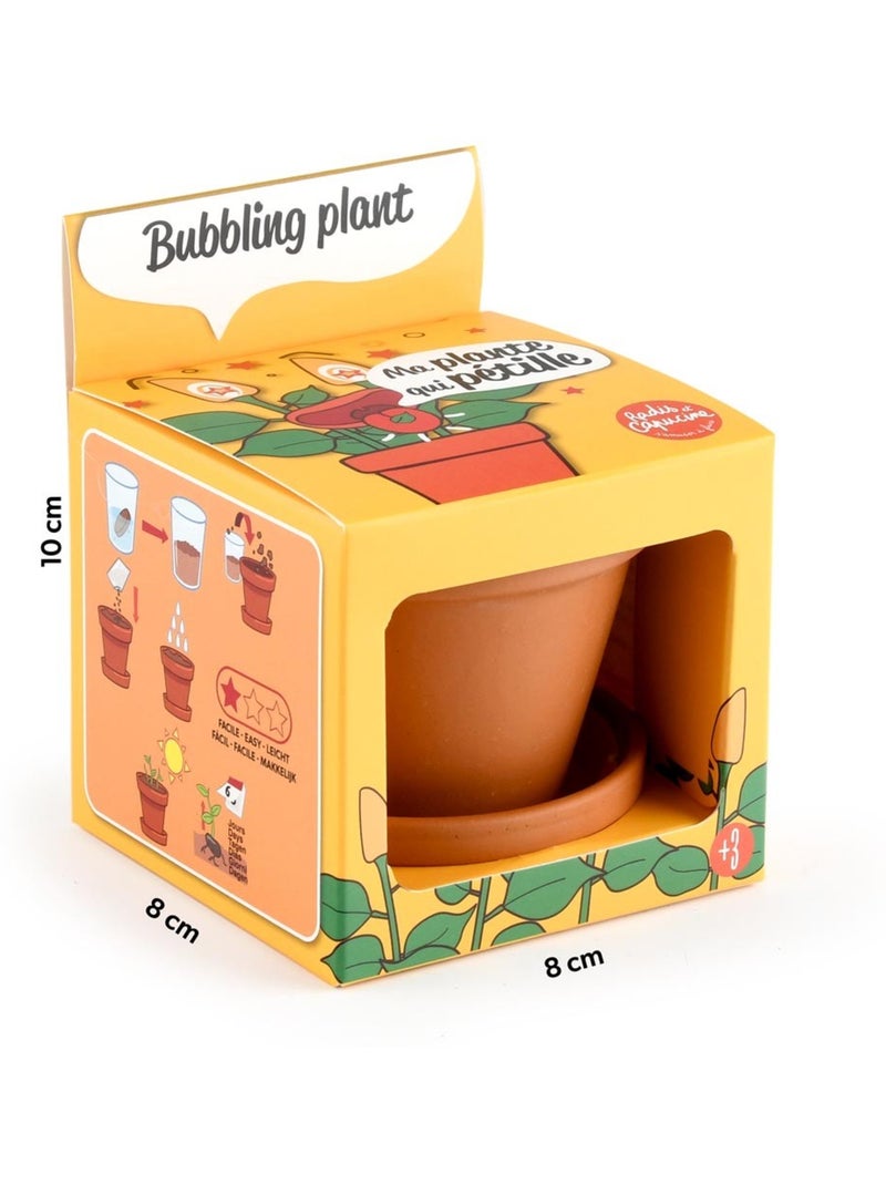Je fais pousser ma Plante qui pétille Marron - Kiabi