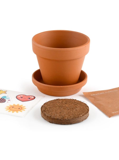 Je fais pousser ma Plante qui pétille - Kiabi