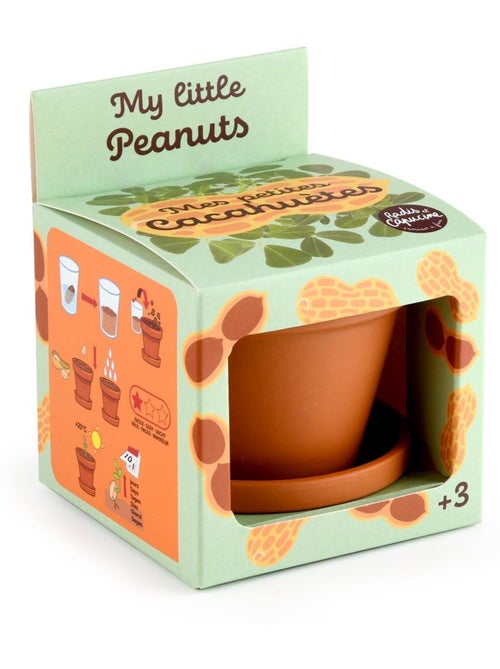 Je fais pousser mes Cacahuètes - Kiabi