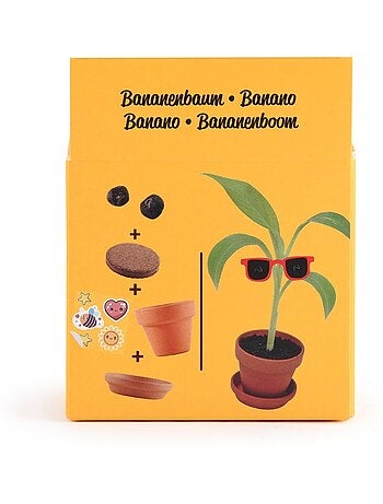 Je fais pousser mon Bananier