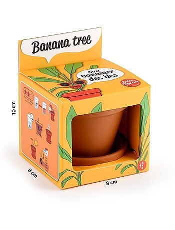 Je fais pousser mon Bananier