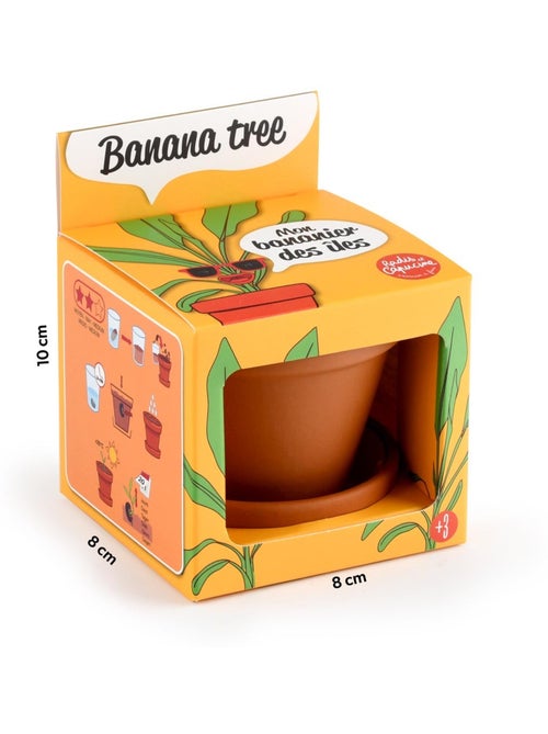 Je fais pousser mon Bananier - Kiabi