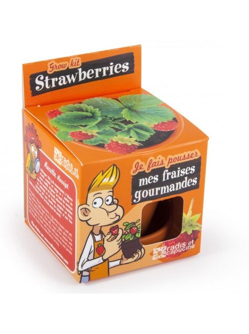 Je fais pousser mon fraisier - Kiabi