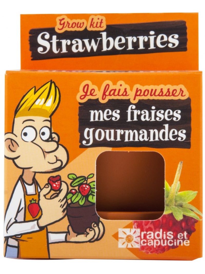 Je fais pousser mon fraisier Marron - Kiabi