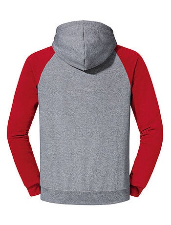 Jerzees - Sweat à capuche manches raglan motif/style blocs de couleurs