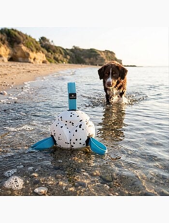 Jeu balle avec rubans flottante et ultra rebondissante pour chien