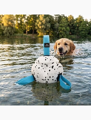 Jeu balle avec rubans flottante et ultra rebondissante pour chien