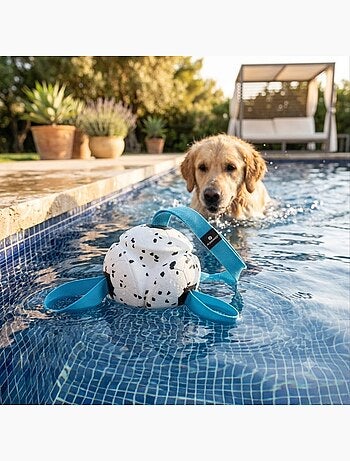 Jeu balle avec rubans flottante et ultra rebondissante pour chien