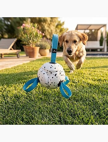 Jeu balle avec rubans flottante et ultra rebondissante pour chien