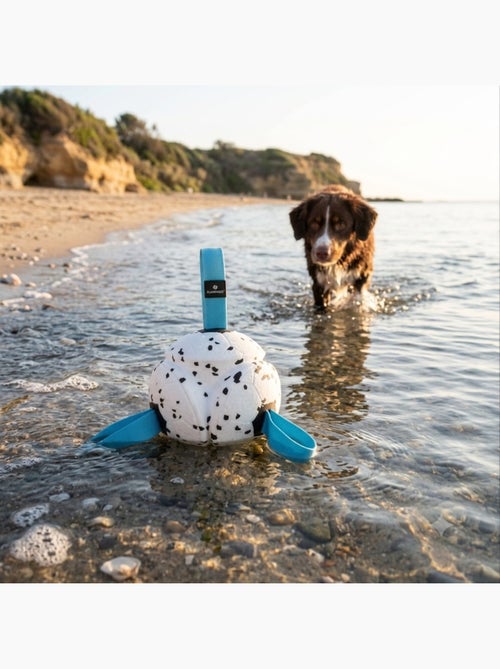 Jeu Balle avec Rubans Flottante et Ultra Rebondissante pour Chien - Kiabi