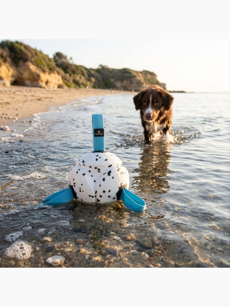 Jeu Balle avec Rubans Flottante et Ultra Rebondissante pour Chien Bleu - Kiabi