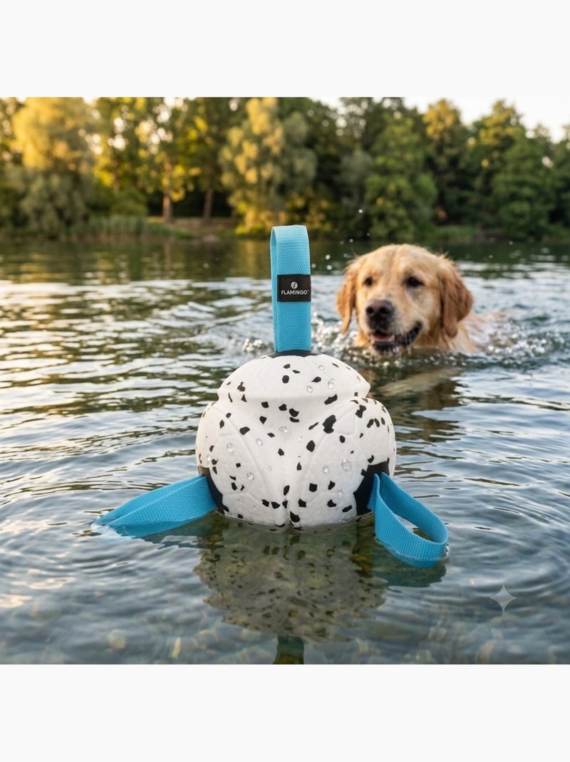 Jeu Balle avec Rubans Flottante et Ultra Rebondissante pour Chien Bleu - Kiabi