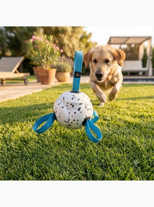 Jeu Balle avec Rubans Flottante et Ultra Rebondissante pour Chien - Kiabi