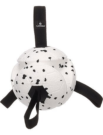 Jeu balle avec rubans flottante et ultra rebondissante pour chien