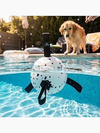 Jeu balle avec rubans flottante et ultra rebondissante pour chien