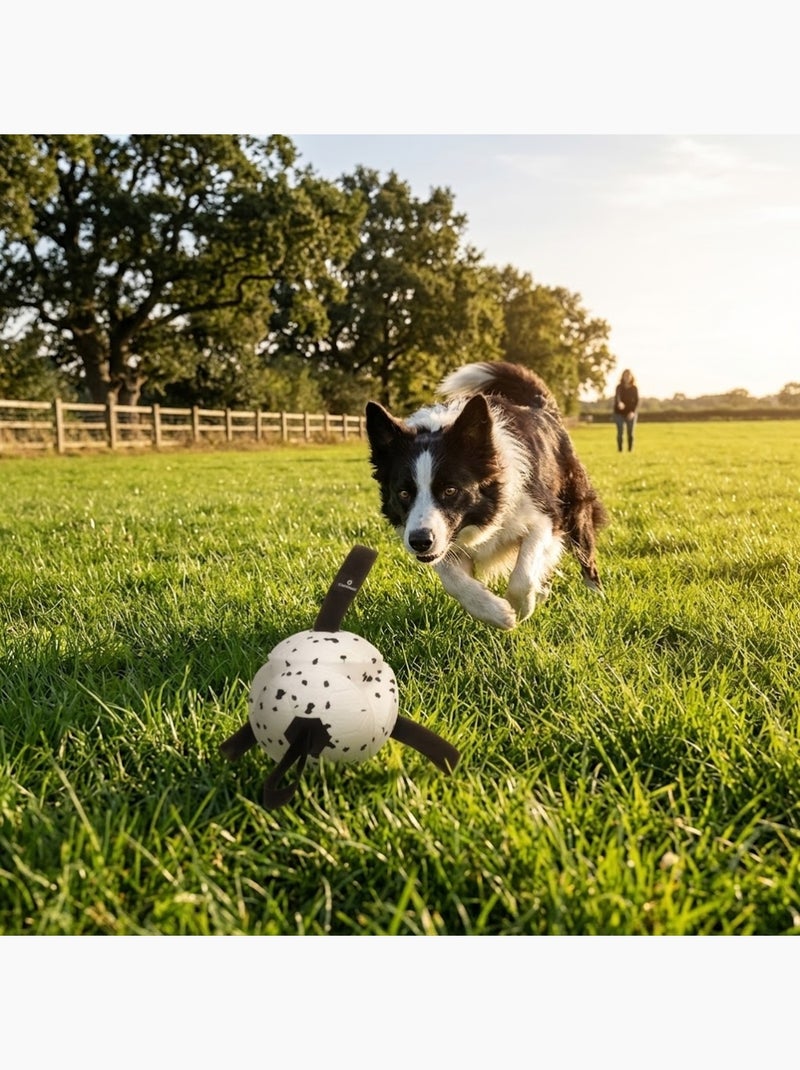 Jeu Balle avec Rubans Flottante et Ultra Rebondissante pour Chien Noir - Kiabi