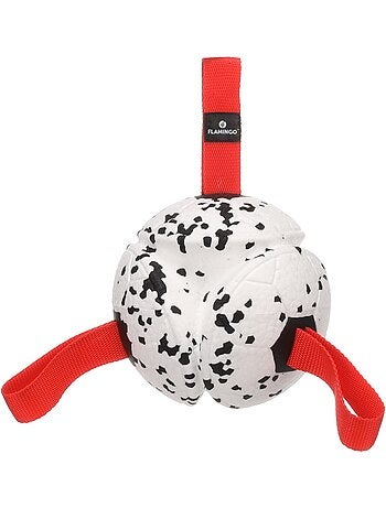 Jeu balle avec rubans flottante et ultra rebondissante pour chien