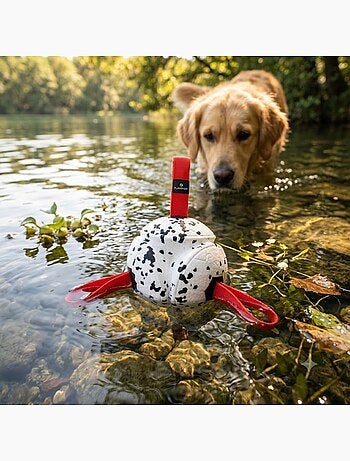 Jeu balle avec rubans flottante et ultra rebondissante pour chien