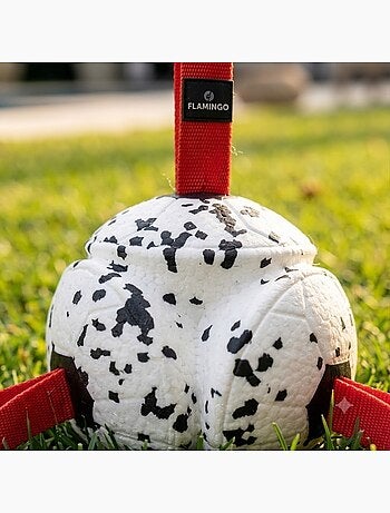 Jeu balle avec rubans flottante et ultra rebondissante pour chien