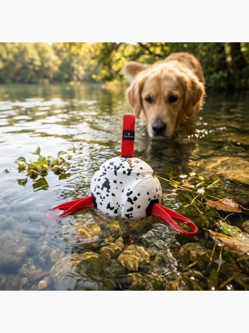 Jeu Balle avec Rubans Flottante et Ultra Rebondissante pour Chien - Kiabi