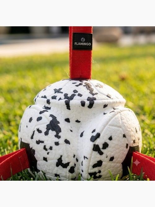 Jeu Balle avec Rubans Flottante et Ultra Rebondissante pour Chien - Kiabi