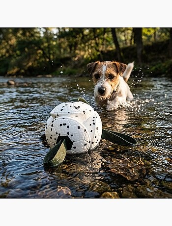 Jeu balle avec rubans flottante et ultra rebondissante pour chien