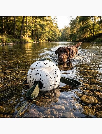 Jeu balle avec rubans flottante et ultra rebondissante pour chien