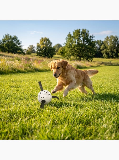 Jeu Balle avec Rubans Flottante et Ultra Rebondissante pour Chien - Kiabi