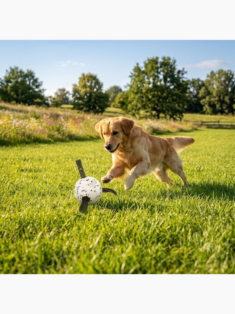 Jeu Balle avec Rubans Flottante et Ultra Rebondissante pour Chien Vert - Kiabi