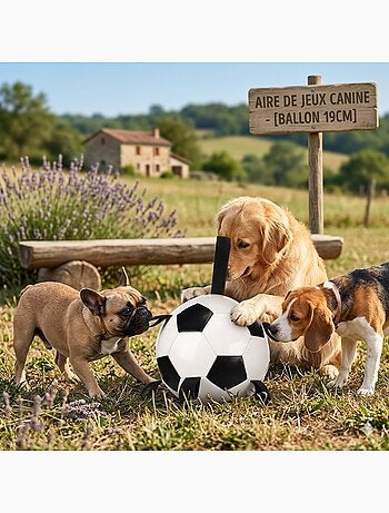 Jeu ballon de football pour chien towa