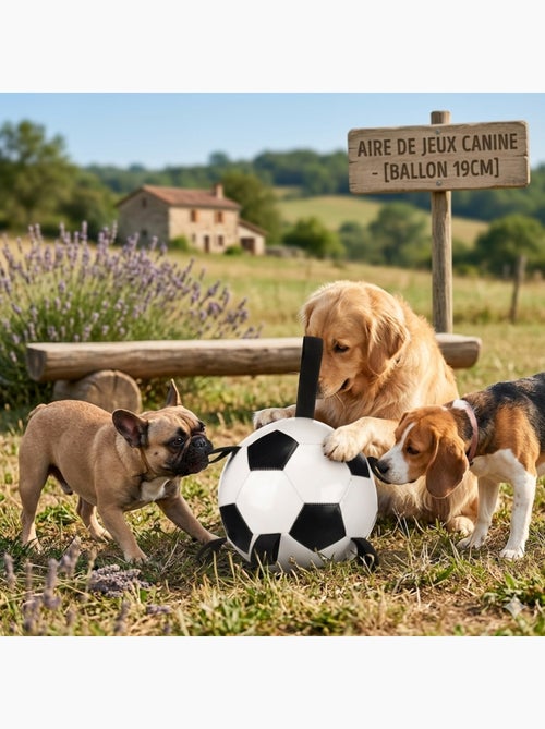 Jeu Ballon de football pour chien Towa - Kiabi